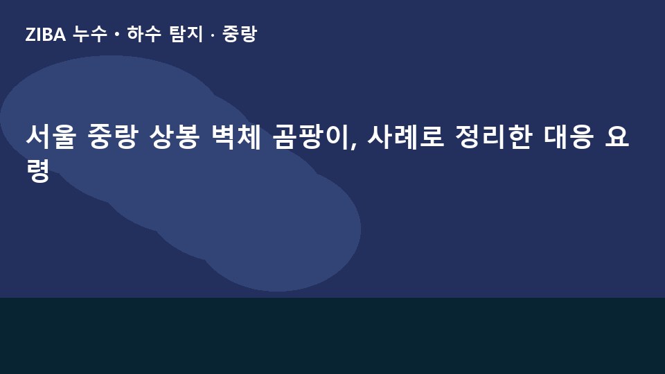 서울 중랑 상봉 벽체 곰팡이, 사례로 정리한 대응 요령