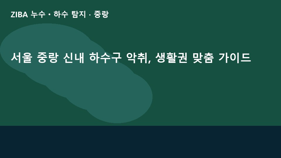 서울 중랑 신내 하수구 악취, 생활권 맞춤 가이드