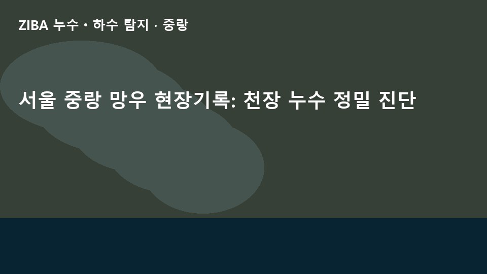 서울 중랑 망우 현장기록: 천장 누수 정밀 진단